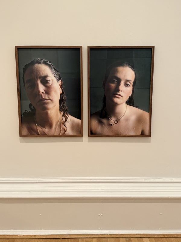 New Aquisitions  The Walker Gallery